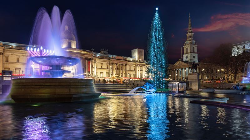 The world-famous Christmas tree in Trafalgar Square. Credit: Shutterstock. Image courtesy of Shutterstock. A water fountain with reflected purple lights illuminates Trafalgar Square. In the background is the famous Christmas tree with blue neon decorations.