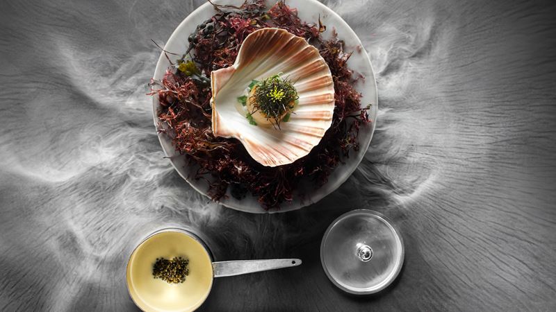 Sample sublime dishes, including this hand-dived sea scallop, served with caviar and seaweed. Credit: Alain Ducasse at The Dorchester. Image courtesy of Luchford. Sea scallop dish presented in a shell on a bed of seaweed with caviar sauce on the side.