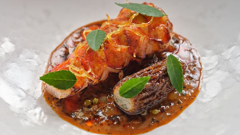 Michelin-star dishes at The Ledbury include delicate pairings such as lobster with sansho pepper and morel mushroom. Credit: Jonathan Glynn-Smith. Image courtesy of The Ledbury. Lobster, sansho pepper and morel mushroom dish at The Ledbury.