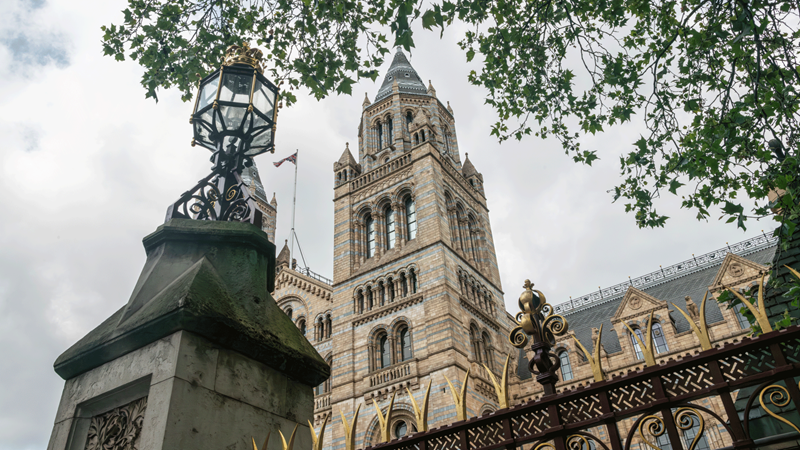 Head to South Kensington where you'll find the Natural History Museum. Image courtesy of London & Partners/Michael Barrow. A view of the grand Natural History Museum from the front of the intricate gate