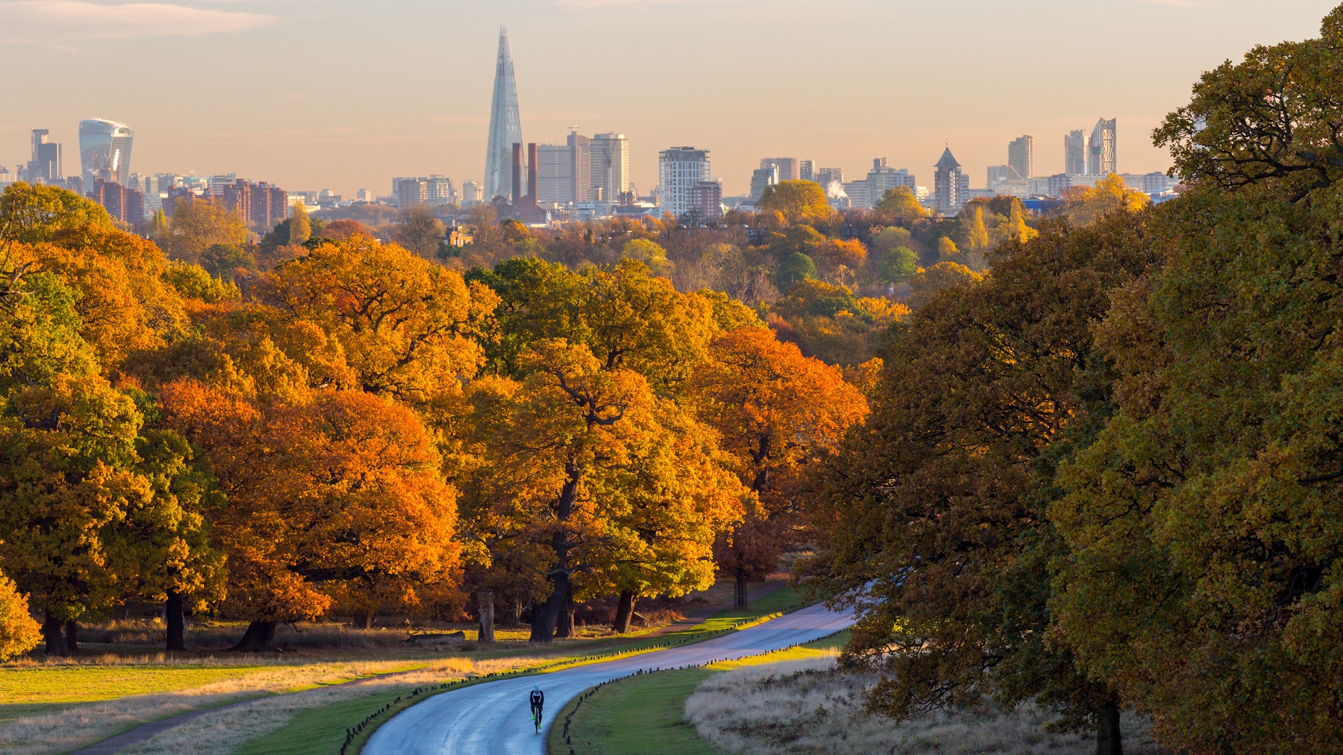 Richmond Park in autumn © Jon Reid/visitlondon.com. A view from Richmond Park showing central London's skyline, autumn colours and a cyclist.