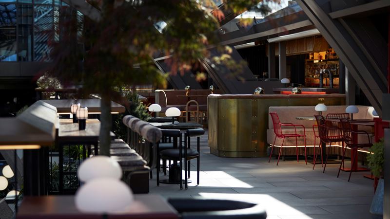 Pair creative cocktails and Japanese bites with sweeping skyline views at Wolves of Tokyo. Credit: Olympia. Image courtesy of Olympia. A photo of the interior at Wolves of Tokyo with stylish modern touches, bar seating and indoor plants