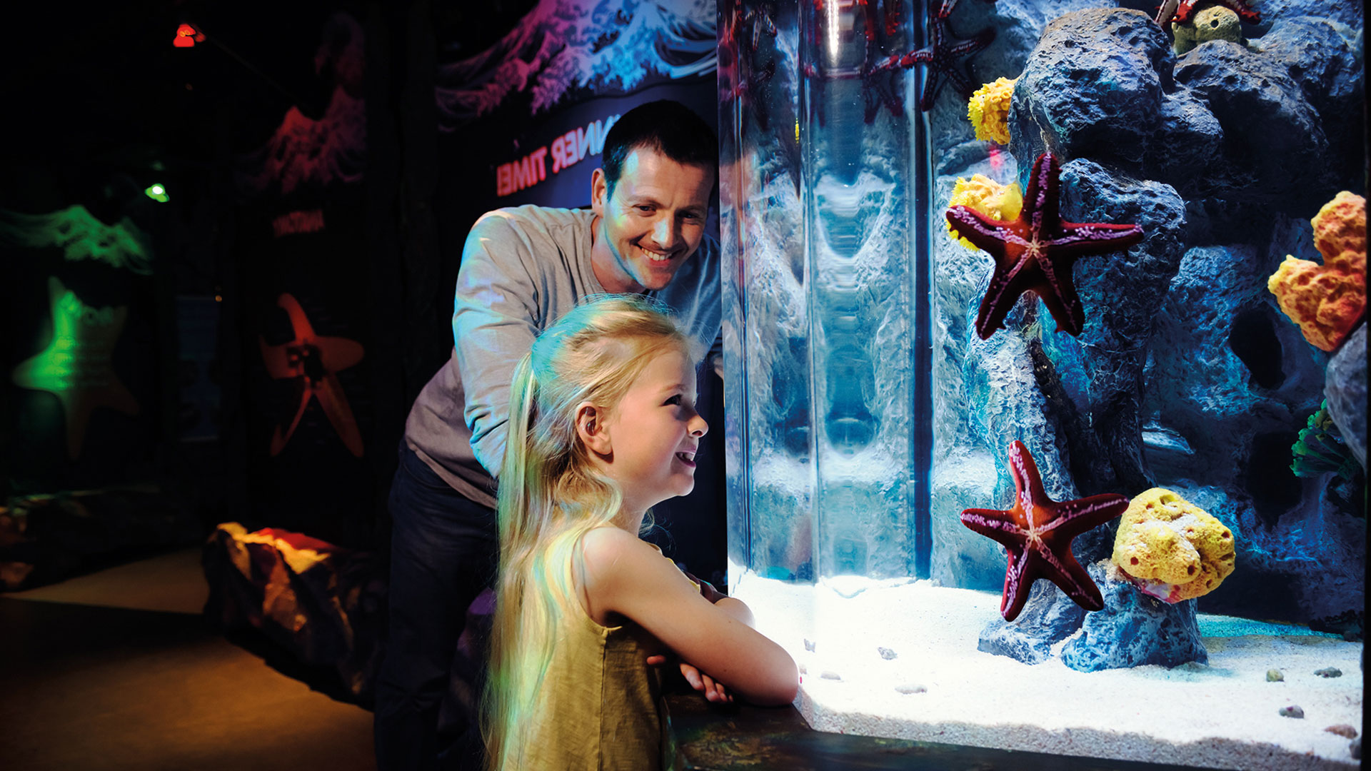 Take the kids to the SEA LIFE London Aquarium and discover more than 500 animal species. © Merlin Entertainments 2024 A man and his daughter admire the starfish in one of the tanks at the SEA LIFE London aquarium.