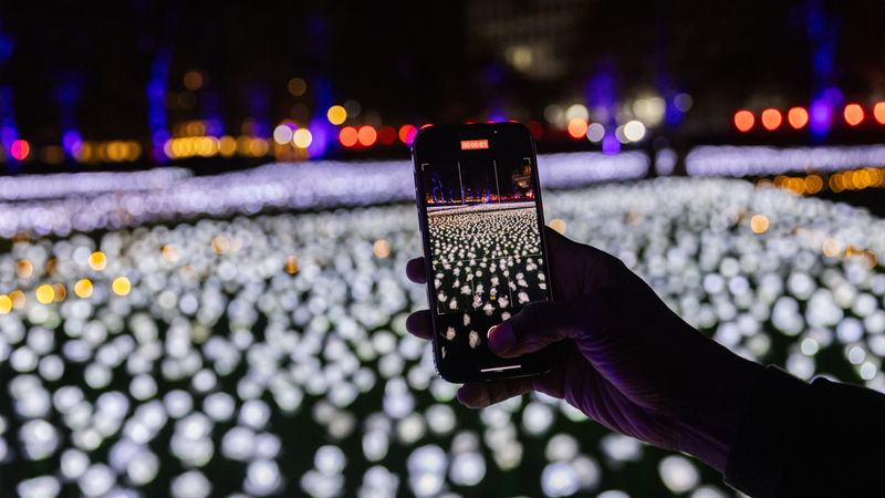 Pay your respects at the mesmerising Ever After Garden this winter. Credit: Sam Mellish. Image courtesy of The Royal Marsden Cancer Charity. A hand taking a photo of hundreds of glowing white lights on a phone at night
