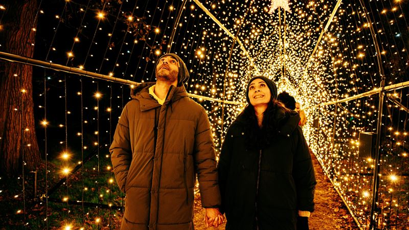 Follow the magical woodland trail at Windsor Great Park Illuminated. Credit: Joshua Atkins. Image courtesy of VisitWindsor. A photo of a man and woman dressed in thick coats holding hands inside a tunnel lined with twinkling lights