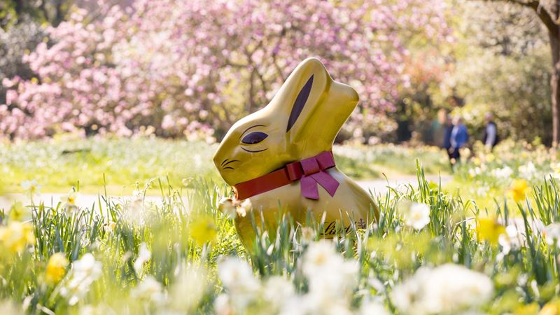 Join in the Lindt Gold Bunny Hunt at Hampton Court Palace this Easter. Credit: Richard Lea-Hair. Image courtesy of Historic Royal Palaces. Gold chocolate bunny with red ribbon in garden on a sunny day with trees with pink flowers in the background.