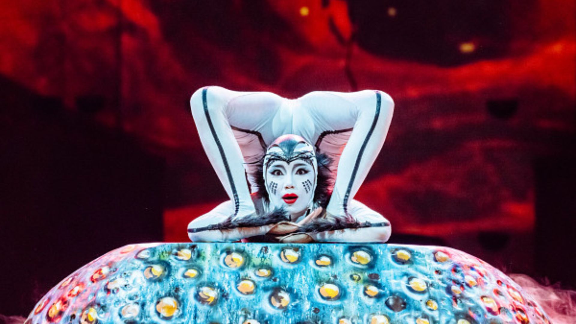An impressive moment from Cirque du Soleil’s OVO, showcasing the show’s mind-bending acrobatics and striking insect-inspired costumes. Image courtesy of London Theatre Direct. An acrobat in white costume performs an extreme contortion balance on a large, textured sphere during a Cirque du Soleil OVO performance.